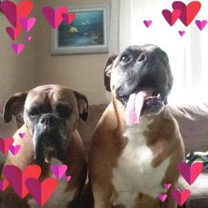 Meet your Posher, Becca